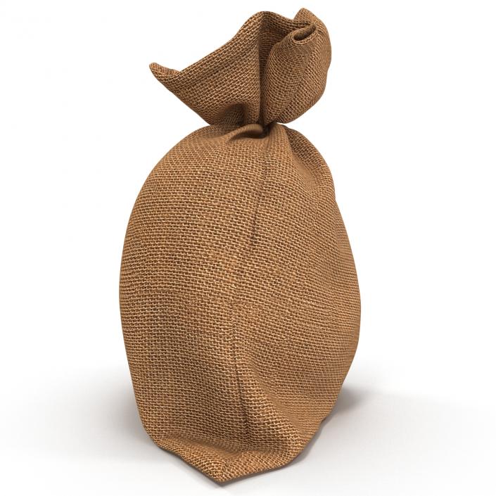 3D Money Bag 2 Dollar model