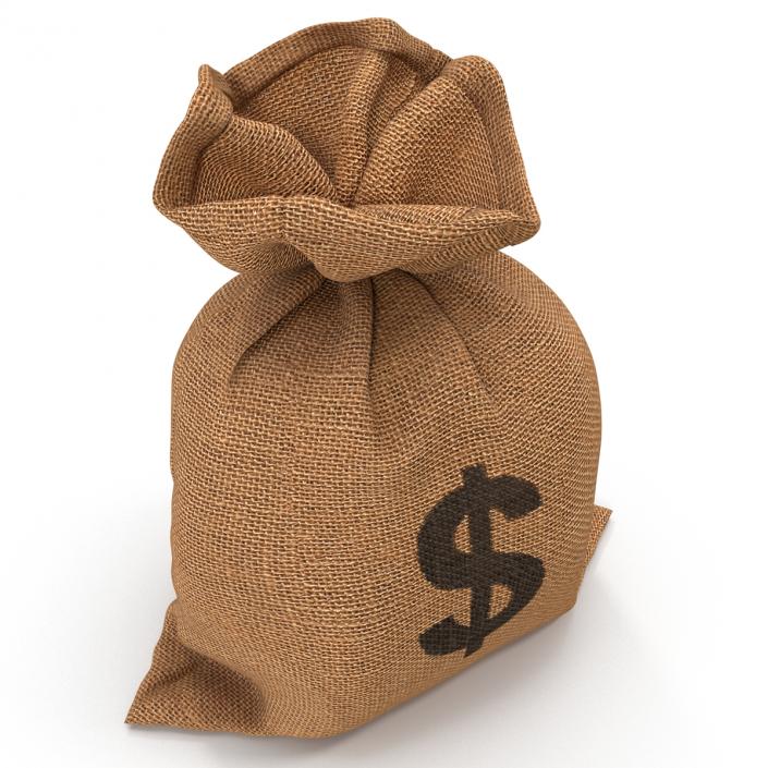 3D Money Bag 2 Dollar model