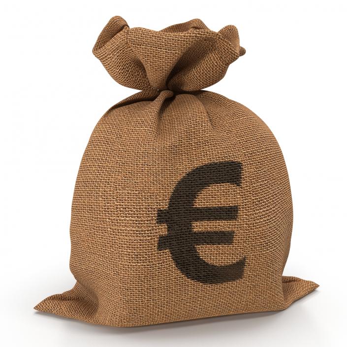 3D Money Bag 2 Euro