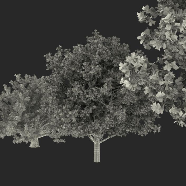 3D Autumn White Oak Trees Collection model