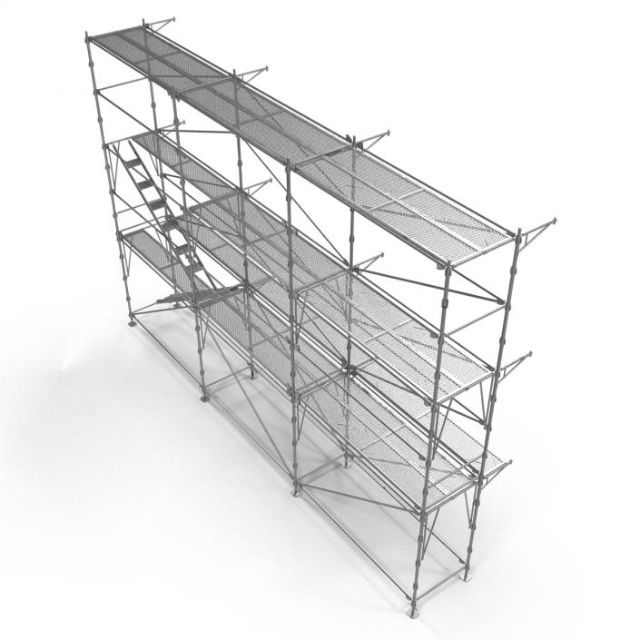 3D Scaffolding