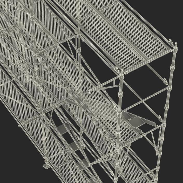 3D Scaffolding