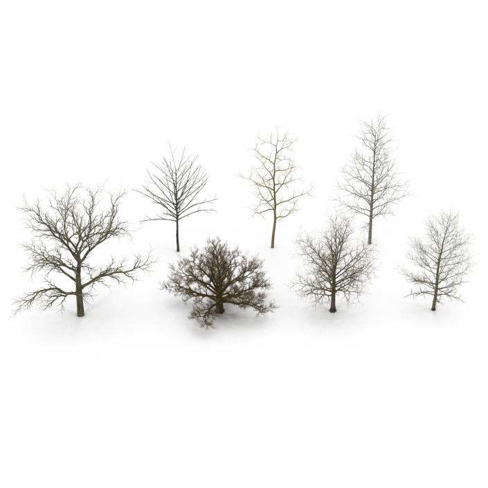 3D Winter Trees Collection model