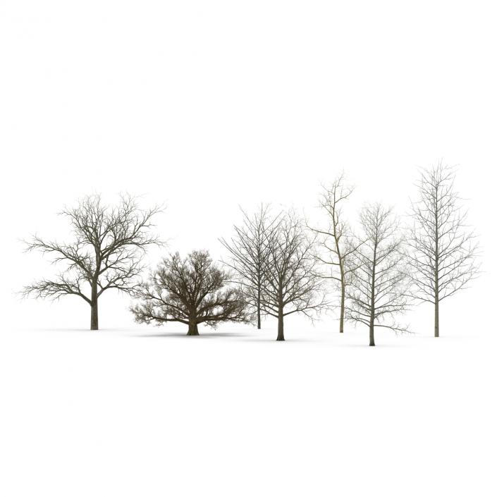 3D Winter Trees Collection model