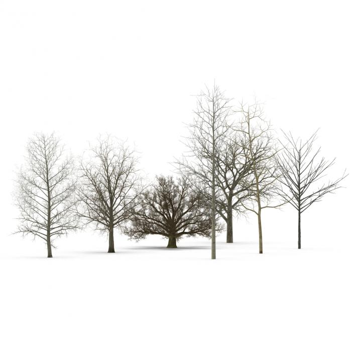 3D Winter Trees Collection model