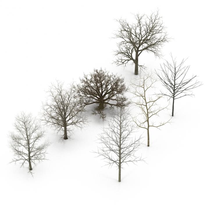 3D Winter Trees Collection model