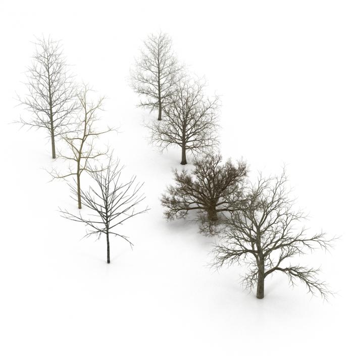 3D Winter Trees Collection model