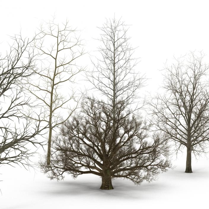 3D Winter Trees Collection model