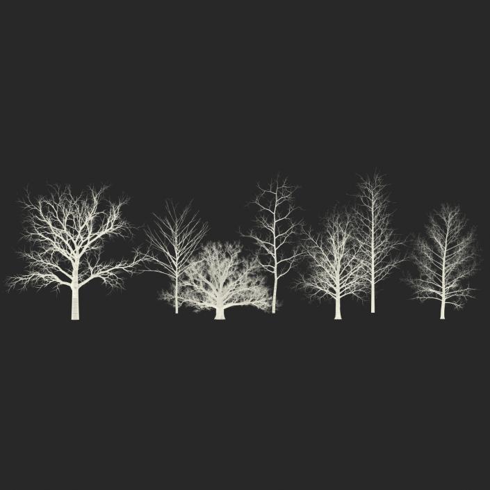 3D Winter Trees Collection model