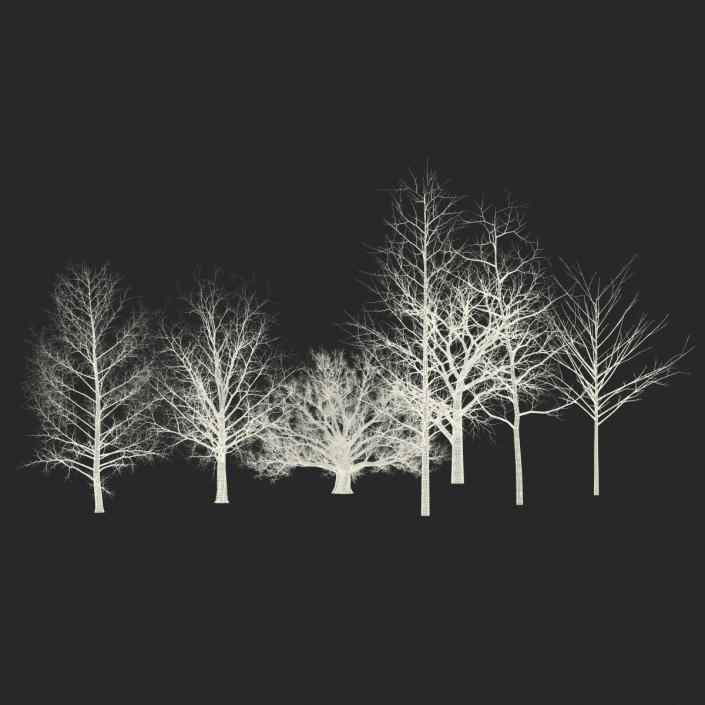 3D Winter Trees Collection model