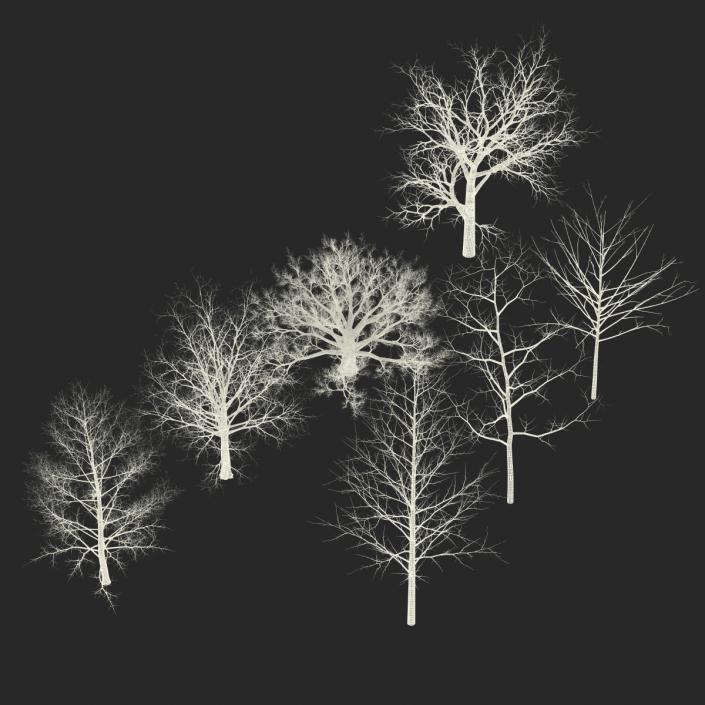 3D Winter Trees Collection model