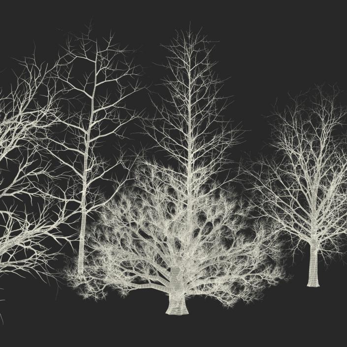 3D Winter Trees Collection model