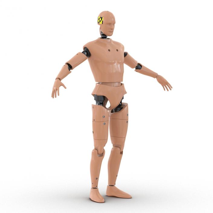 3D Male Crash Test Dummy Rigged model