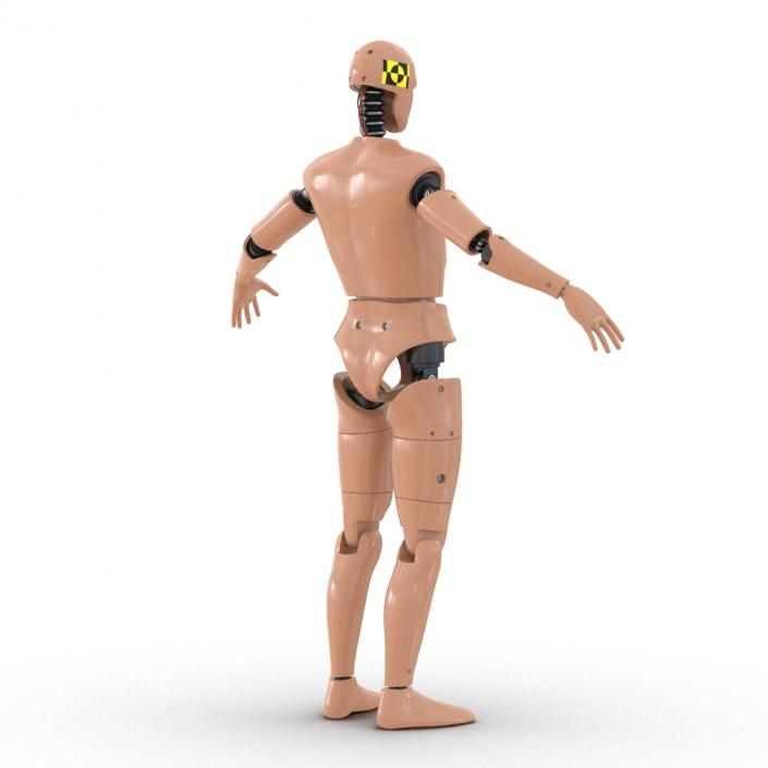 3D Male Crash Test Dummy Rigged model