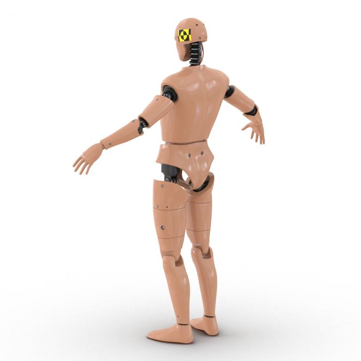 3D Male Crash Test Dummy Rigged model