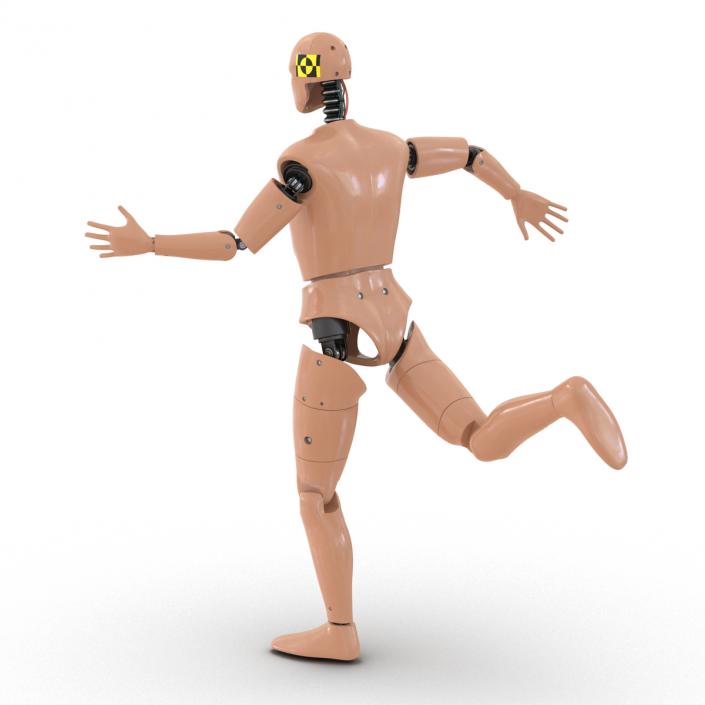 3D Male Crash Test Dummy Rigged model