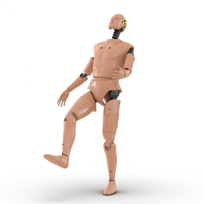 3D Male Crash Test Dummy Rigged model