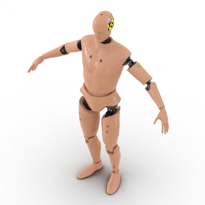 3D Male Crash Test Dummy Rigged model