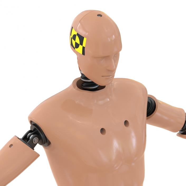 3D Male Crash Test Dummy Rigged model