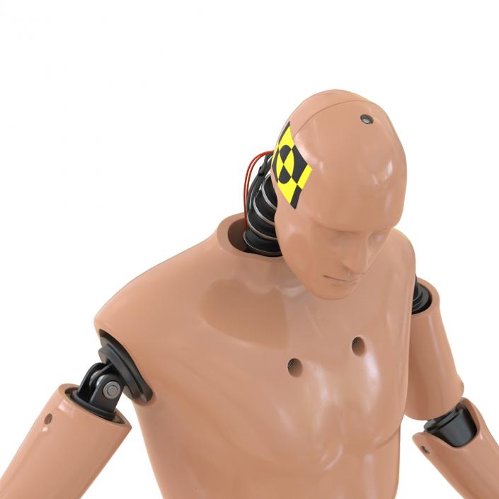 3D Male Crash Test Dummy Rigged model