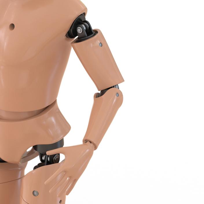 3D Male Crash Test Dummy Rigged model