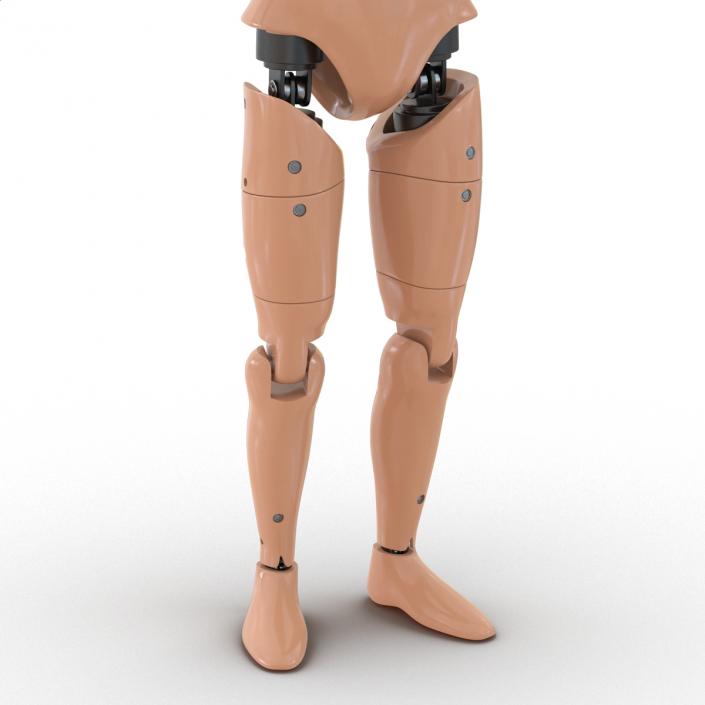 3D Male Crash Test Dummy Rigged model