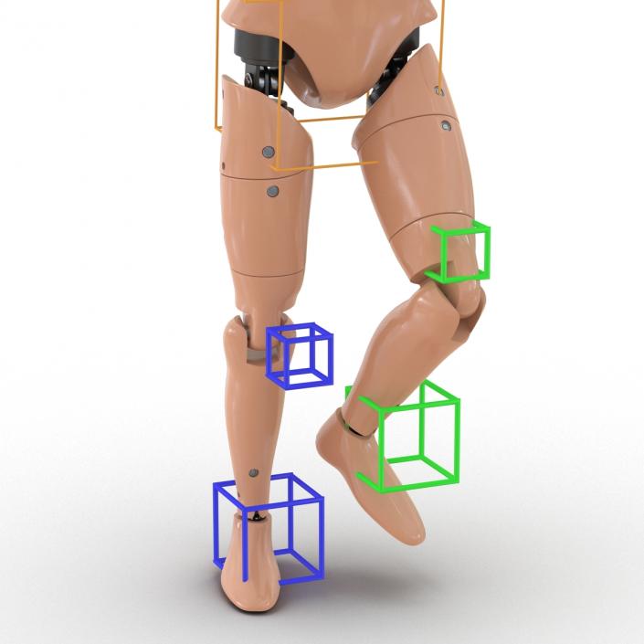 3D Male Crash Test Dummy Rigged model