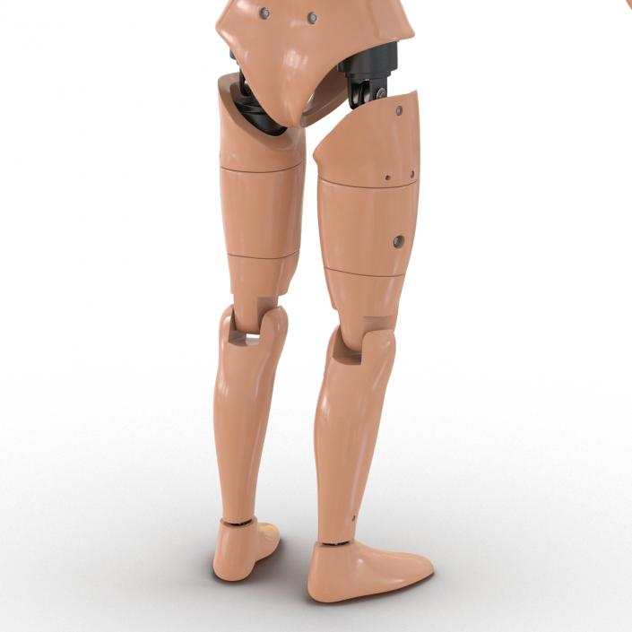 3D Male Crash Test Dummy Rigged model