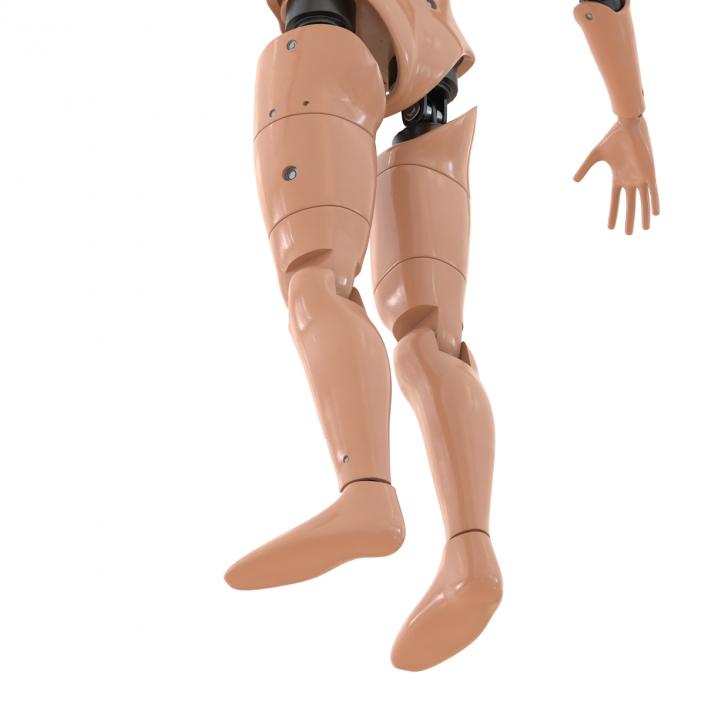 3D Male Crash Test Dummy Rigged model