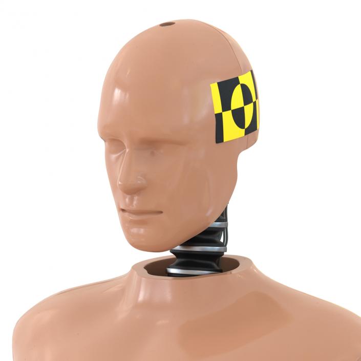 3D Male Crash Test Dummy Rigged model