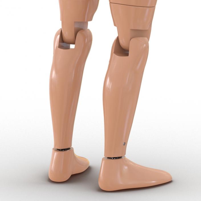 3D Male Crash Test Dummy Rigged model