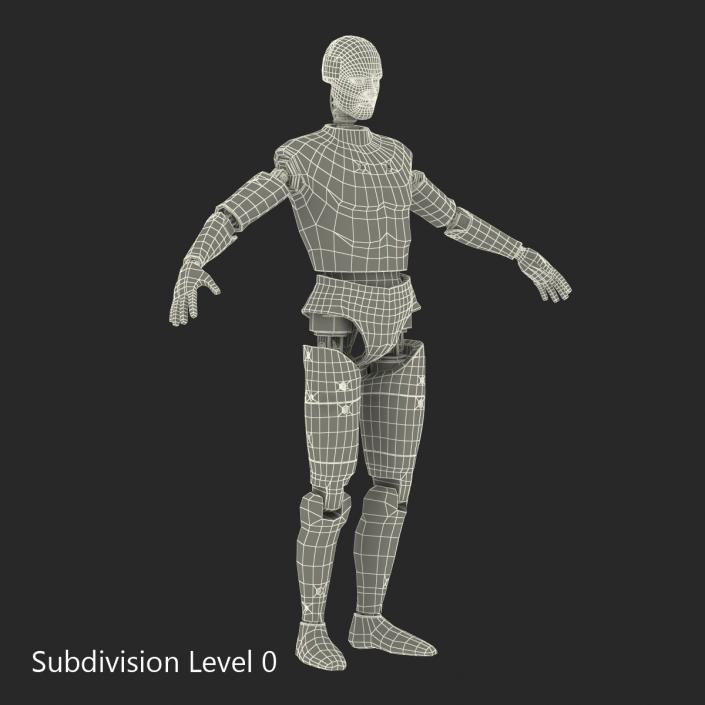 3D Male Crash Test Dummy Rigged model