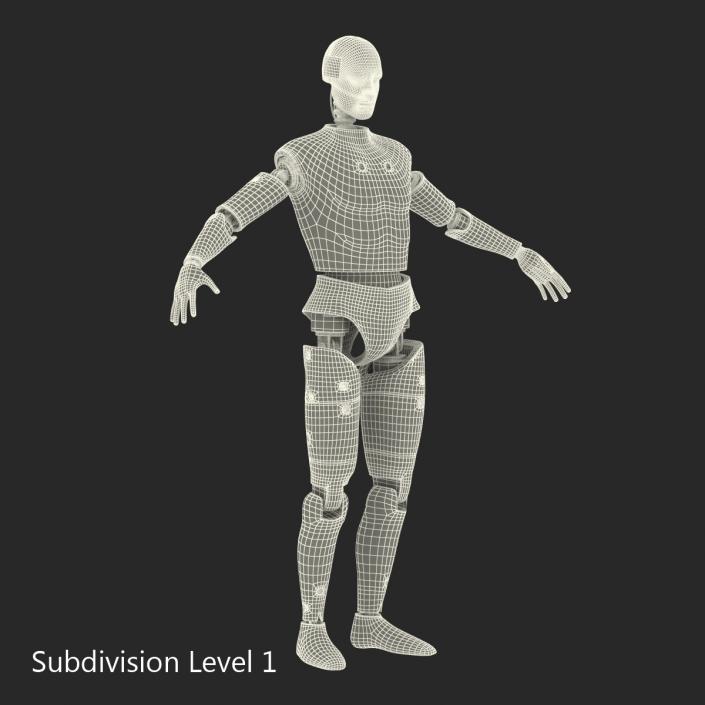 3D Male Crash Test Dummy Rigged model