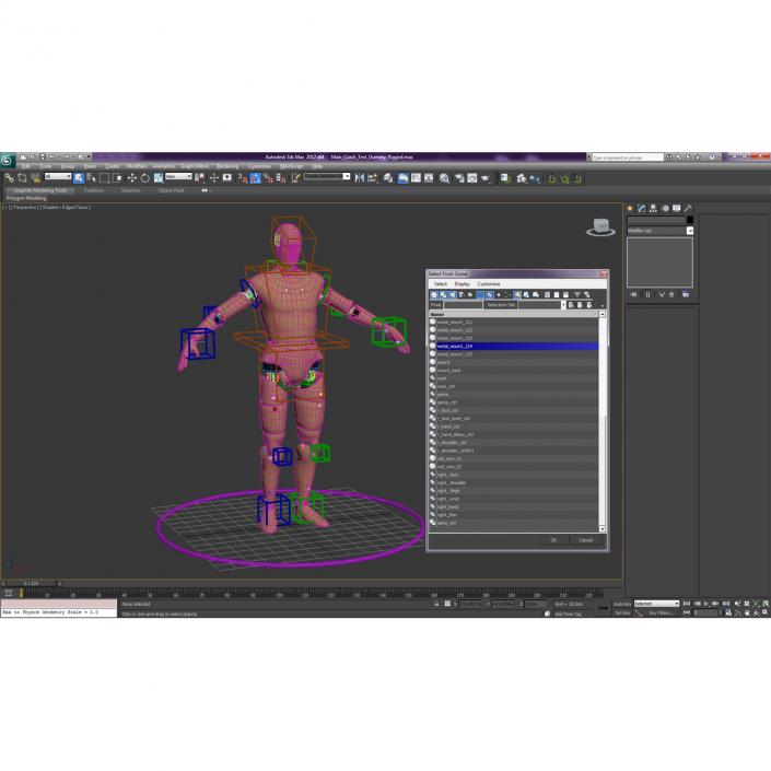 3D Male Crash Test Dummy Rigged model