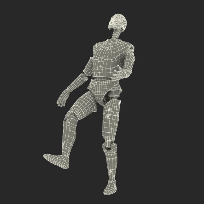 3D Male Crash Test Dummy Rigged model