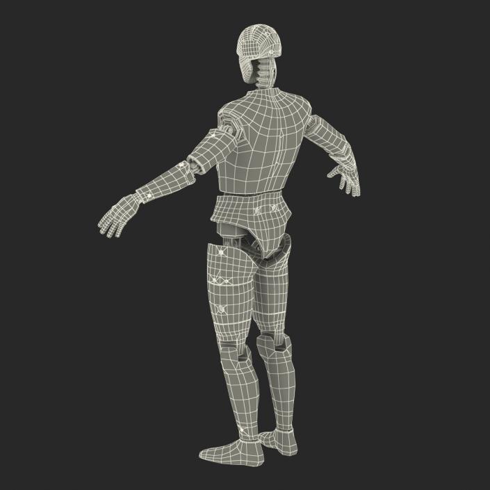 3D Male Crash Test Dummy Rigged model