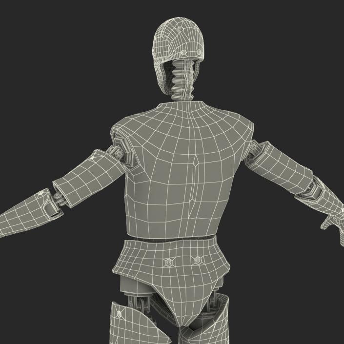 3D Male Crash Test Dummy Rigged model