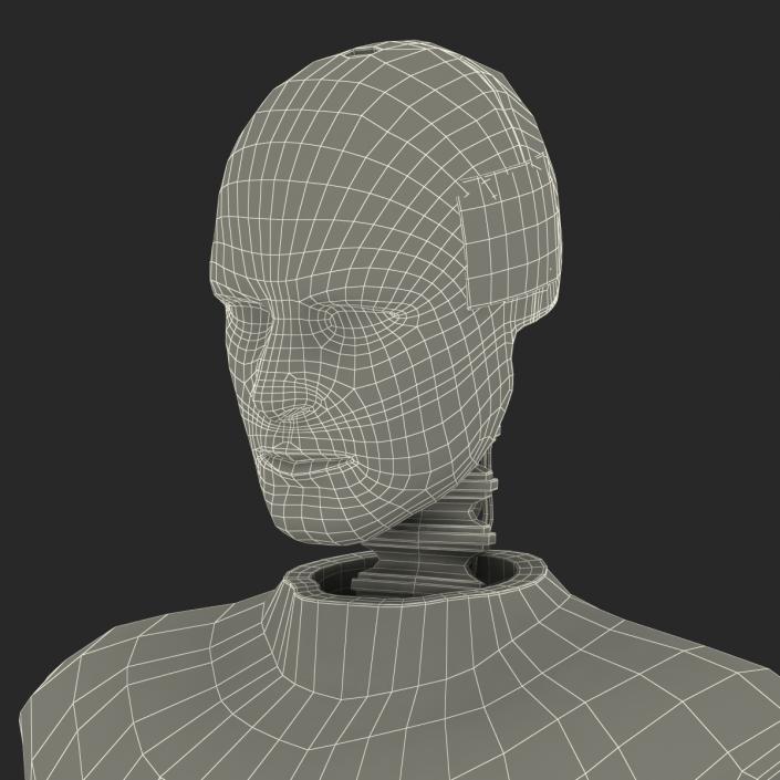 3D Male Crash Test Dummy Rigged model