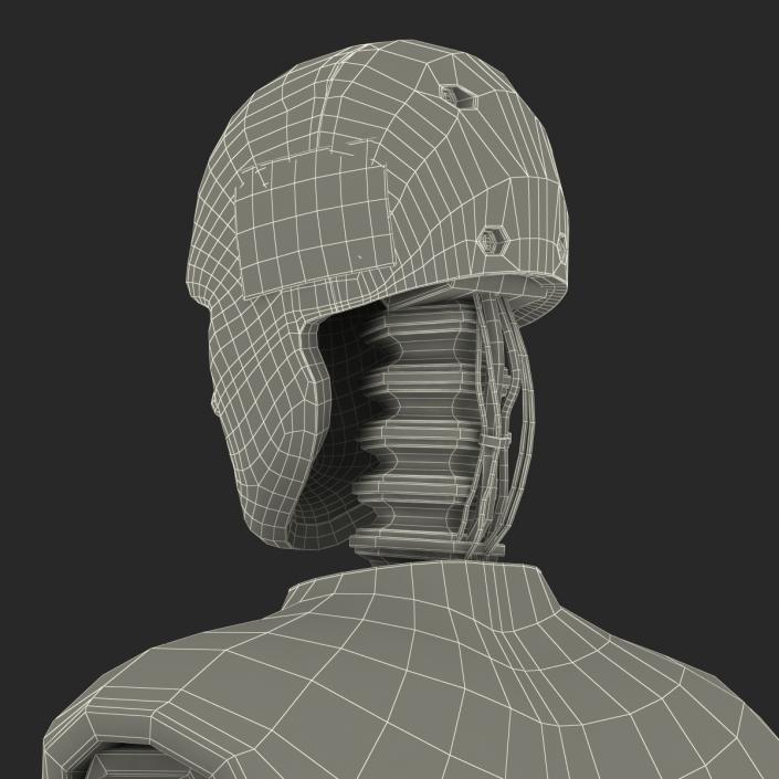 3D Male Crash Test Dummy Rigged model