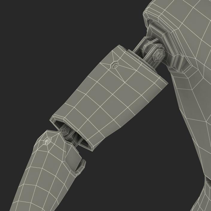 3D Male Crash Test Dummy Rigged model