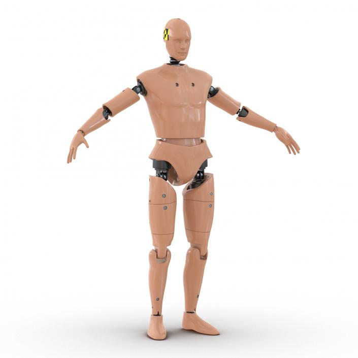 3D Male Crash Test Dummy