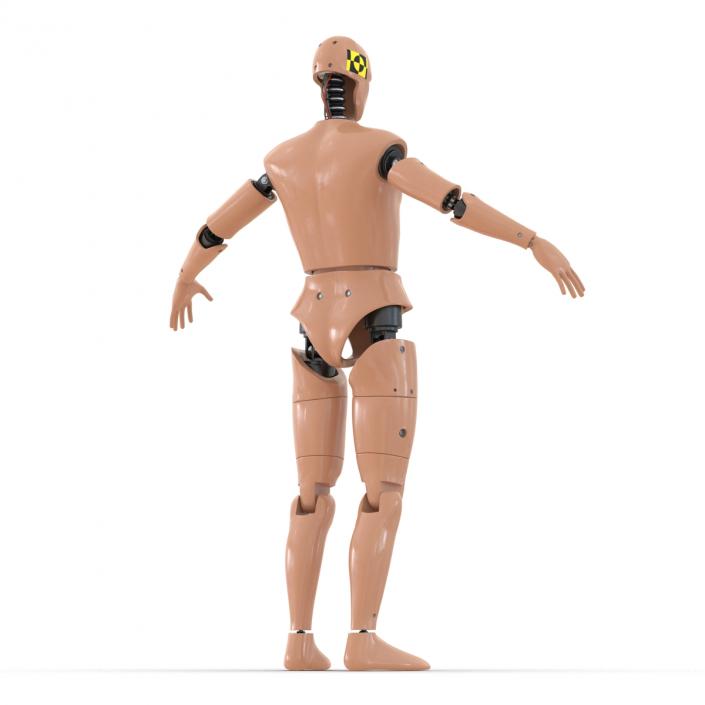 3D Male Crash Test Dummy