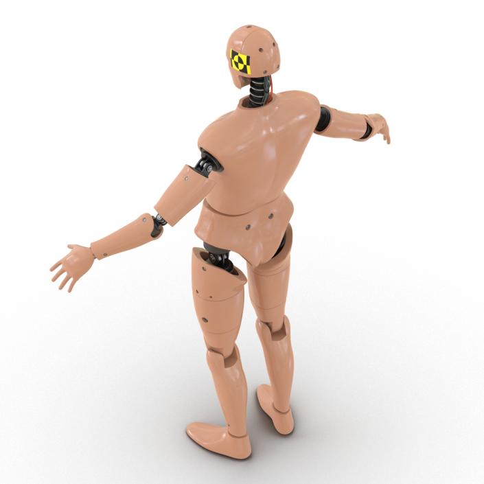 3D Male Crash Test Dummy