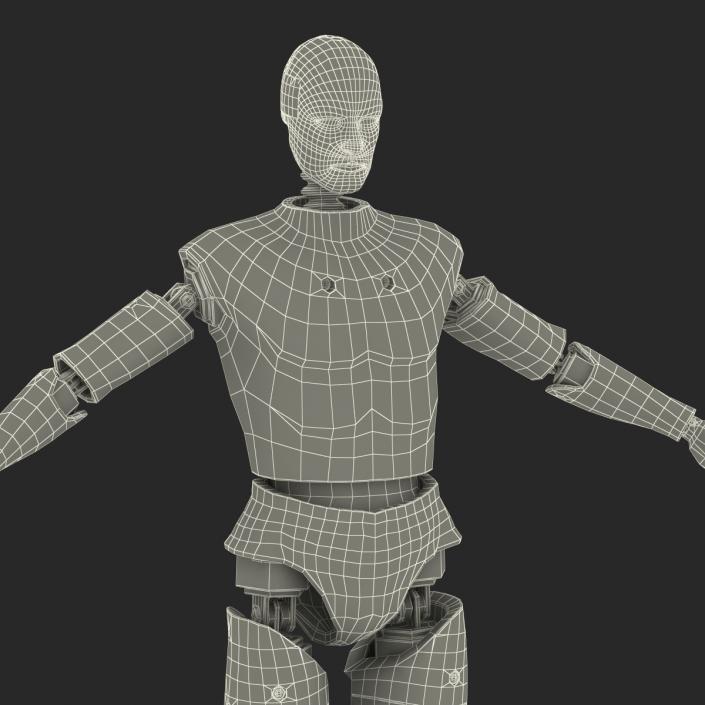 3D Male Crash Test Dummy