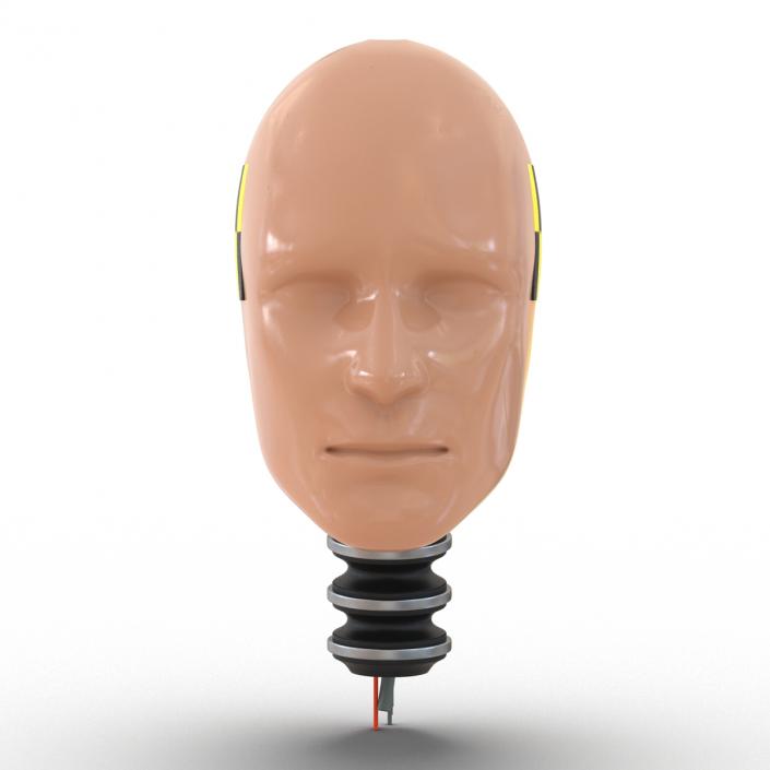 3D Male Crash Test Dummy Head