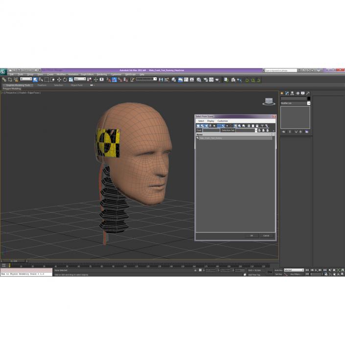 3D Male Crash Test Dummy Head