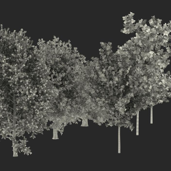 3D Summer Trees Collection model