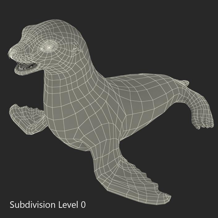 3D model Sea Lion