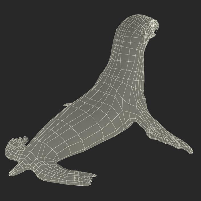 3D model Sea Lion