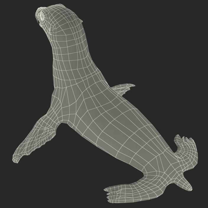 3D model Sea Lion